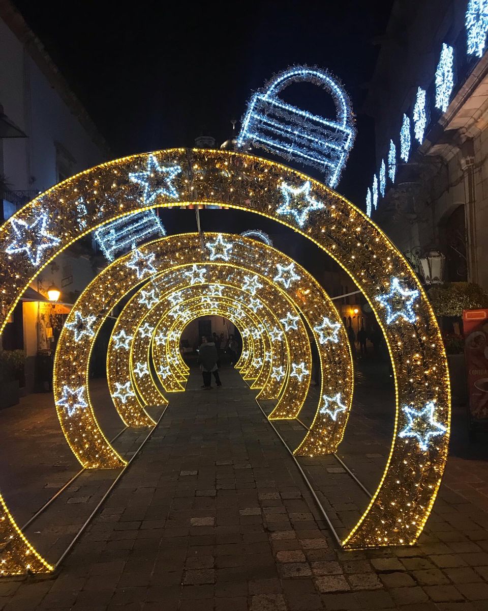 🚂 Tren Navideño Iluminado LED – Decoración Monumental para Exteriores - Image 3