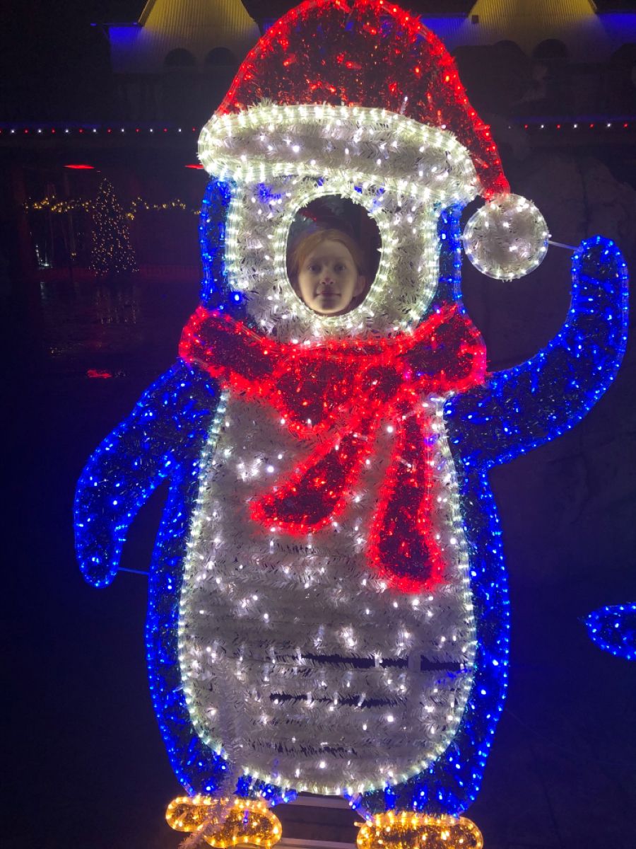 🐧 Pingüino Navideño Iluminado con Rostro Interactivo – 1.50 m x 80 cm
