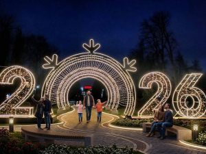 Tunel navideño año 2026