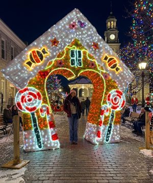 Flor de Loto LED Monumental para Alumbrados Navideños | Wilkatek