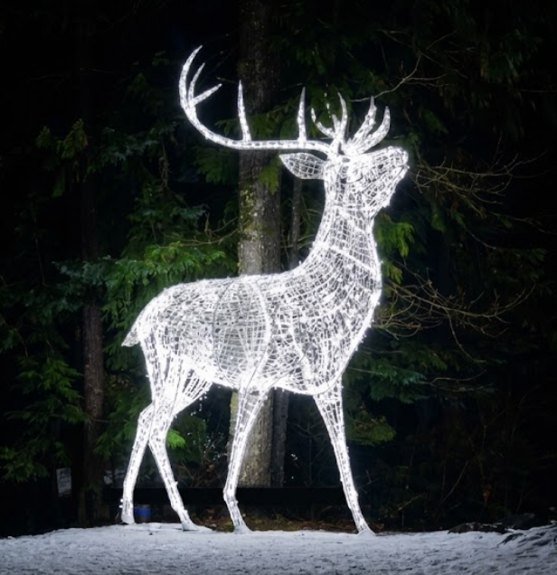 eno de Navidad Gigante LED para Alumbrado y Decoración de Plazas - Image 2
