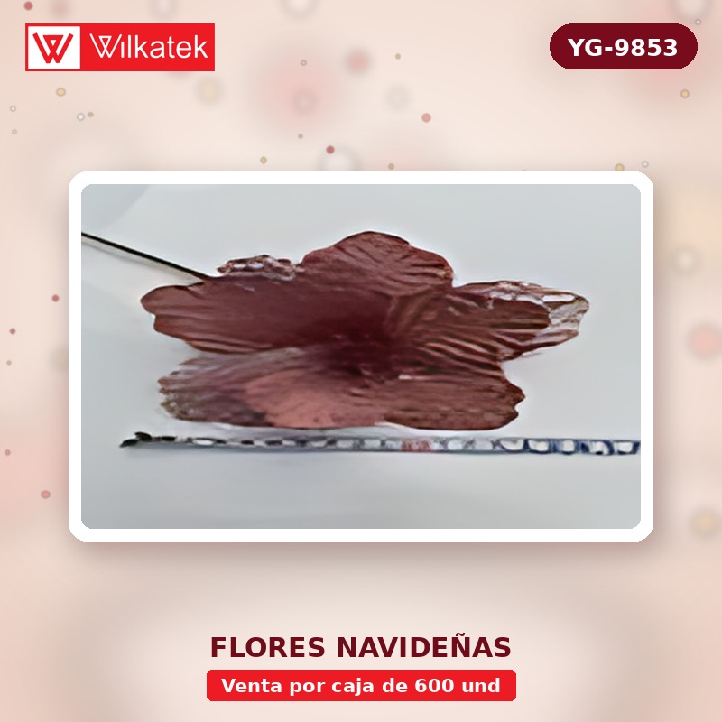 Flor navidena 17cm, Dorada 50, plata 30, Rojo 30, Champana 30, Blanco 10, Azul 10,… (Opp x 600 und)